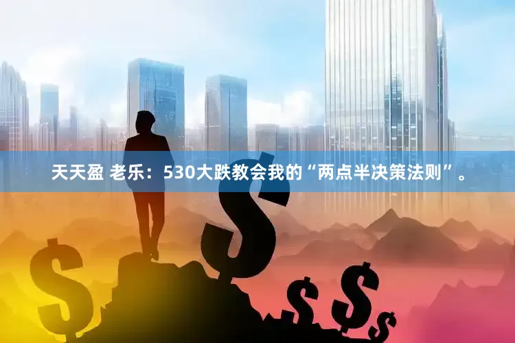 天天盈 老乐：530大跌教会我的“两点半决策法则”。