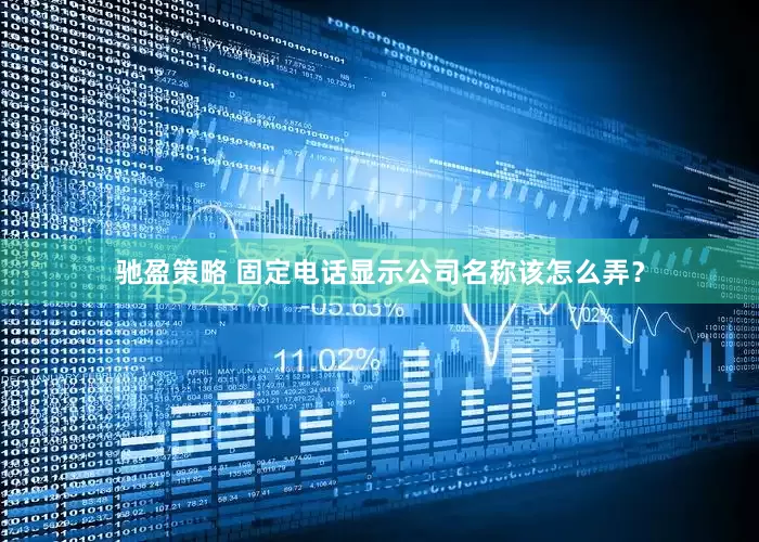 驰盈策略 固定电话显示公司名称该怎么弄？
