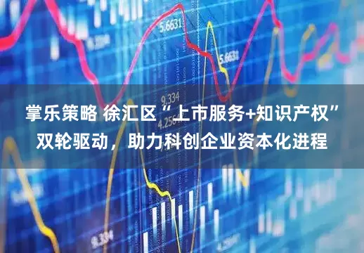 掌乐策略 徐汇区“上市服务+知识产权”双轮驱动，助力科创企业资本化进程